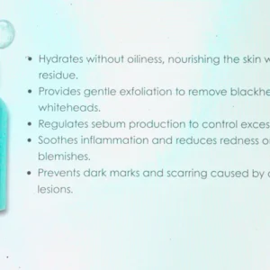 Lamelle Corrective HA Serum
