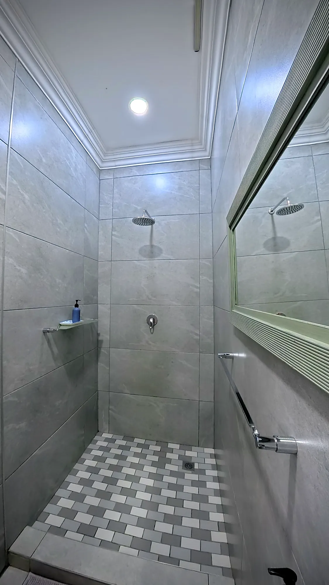 Luxury East Suite walk-in shower